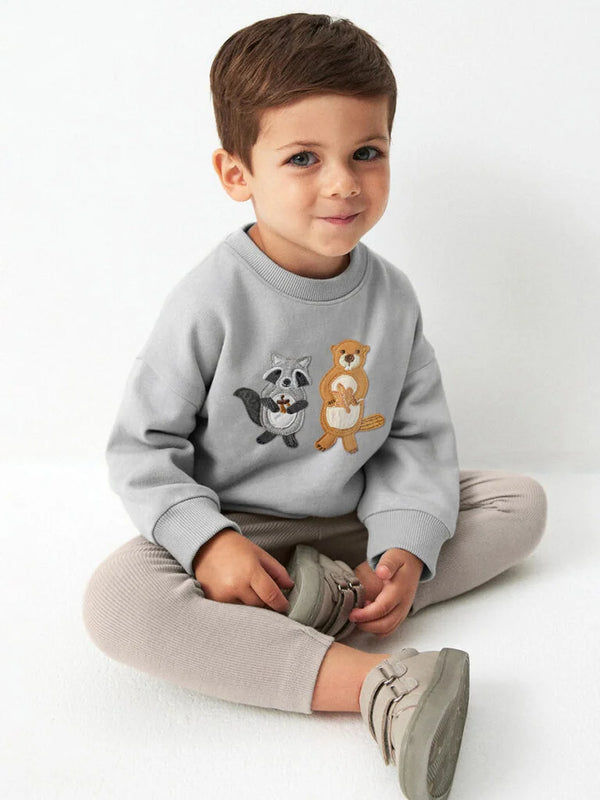 Boys Sweatshirt & Pants Set