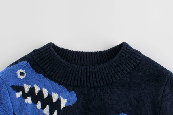 Boys Knit Sweater